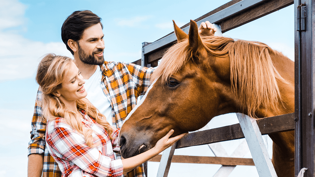 How to Start a Ranch