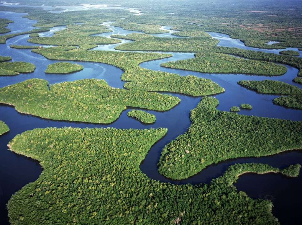 South Florida gets its drinking water from the Everglades—but it’s increasingly under threa