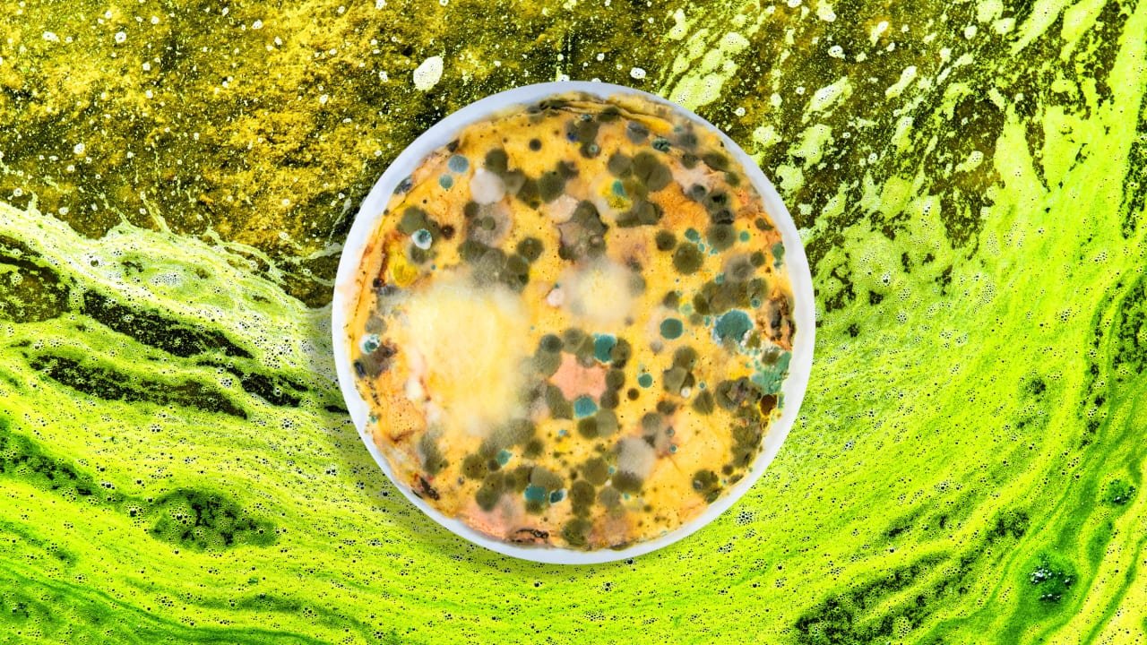 What happens when you mix random stuff in a bowl for 100 days? TikTok found out